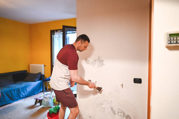 Best Same-Day Mold Removal  in Orrville, OH